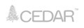 CEDAR 脊柱后路內(nèi)固定系統(tǒng)